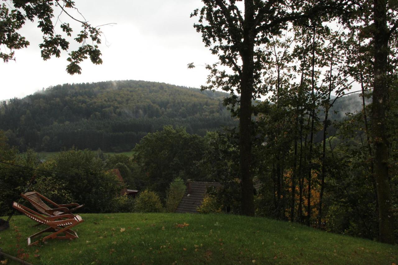Holiday home Le Joli Bois Colroy-la-Roche